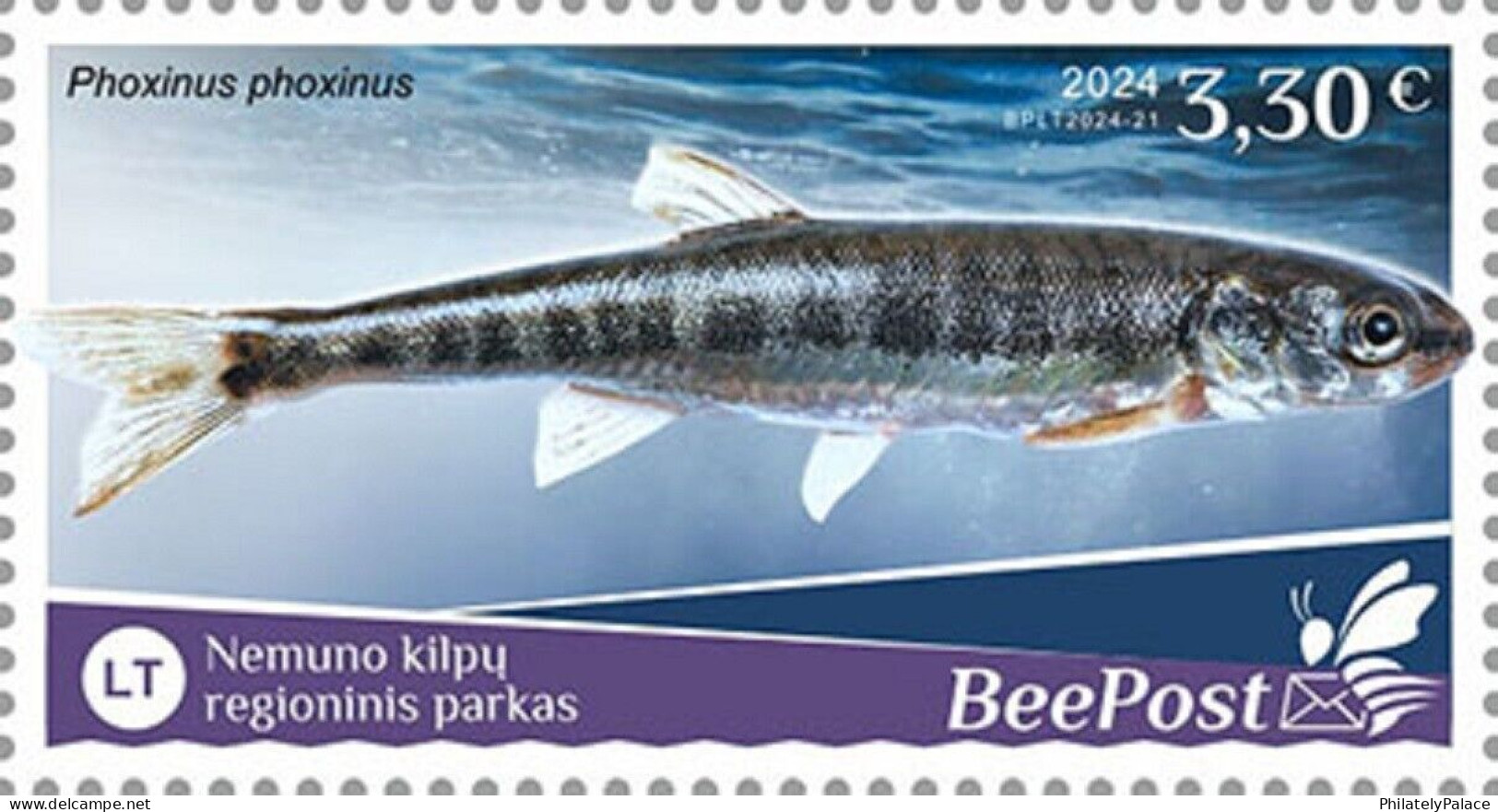 Lithuania 2024 Fish, Freshwater, National Park ,Beepost, Underwater Animal, 1v Mint, MNH (**) - Lituanie