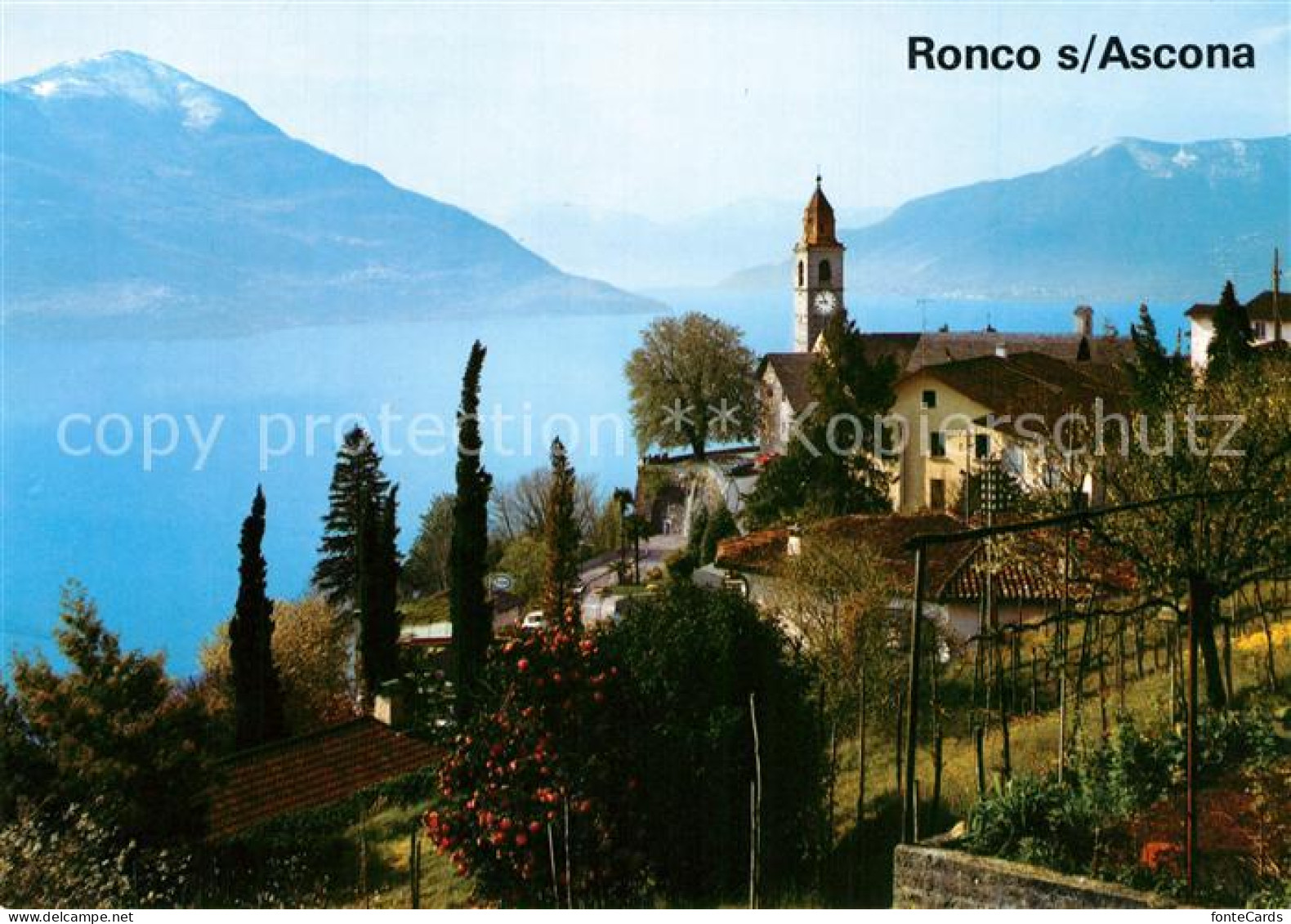 13257954 Ronco TI   - Altri & Non Classificati