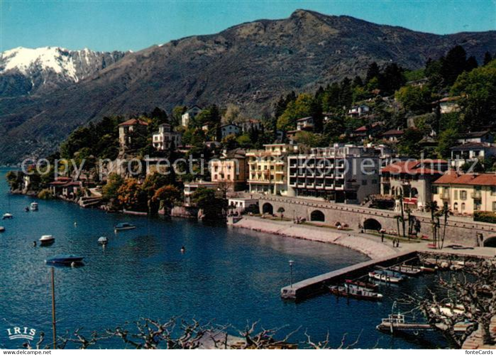 13254783 Ascona Lago Maggiore Hafen Kueste Collina San Michele Ascona Lago Maggi - Autres & Non Classés