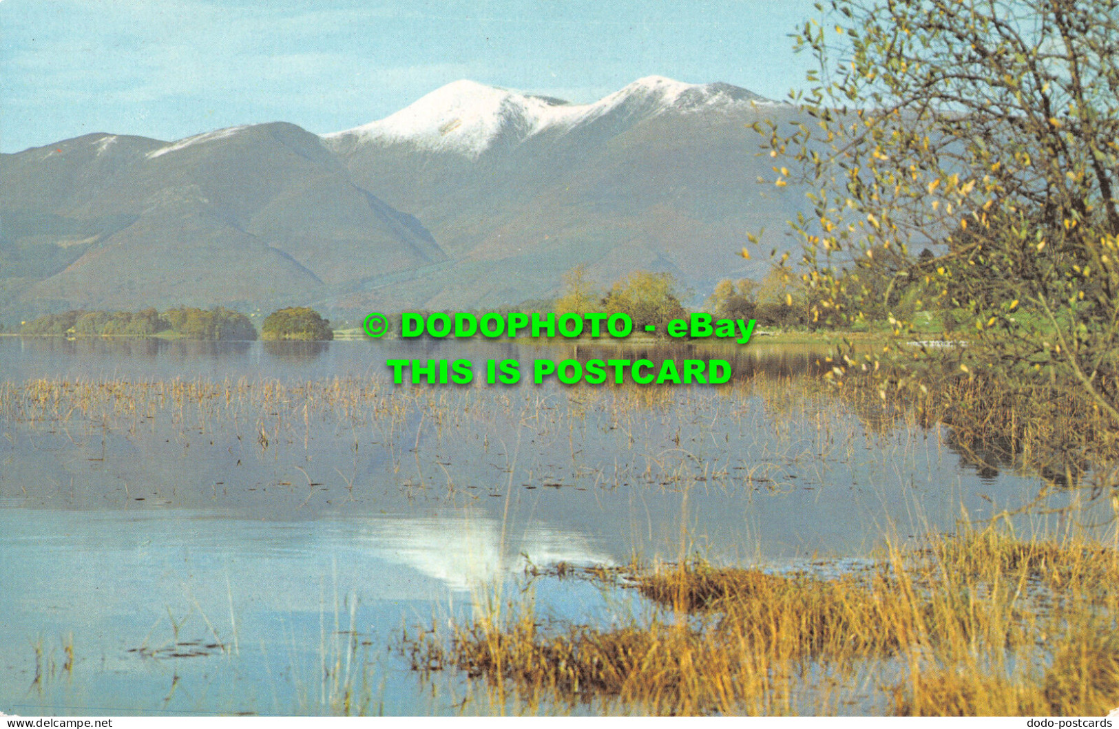 R524674 Keswick. Derwentwater And Skiddaw. The English Lakes. Sanderson And Dixo - Wereld