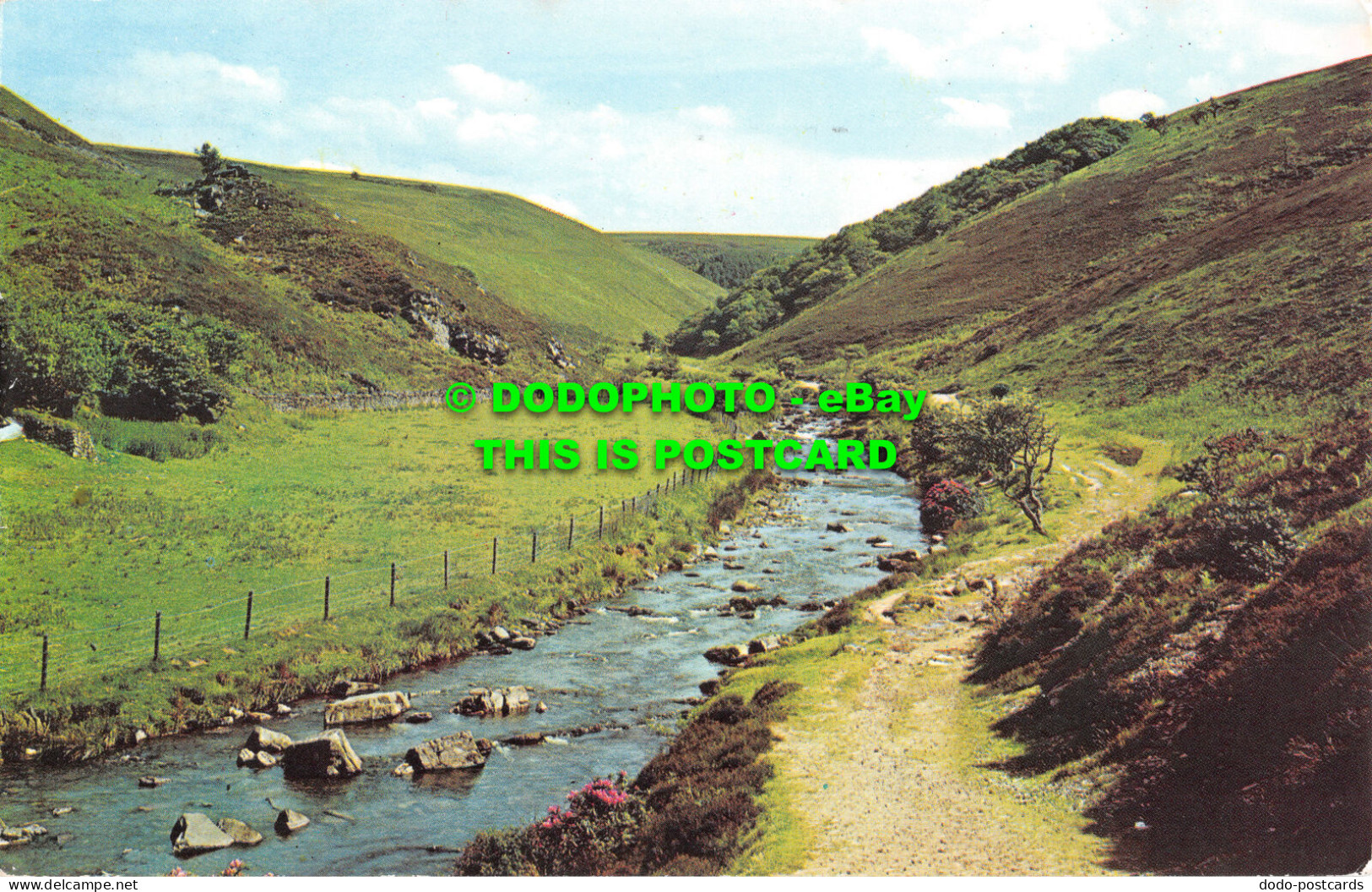 R524958 Exmoor. The Doone Valley. 1974 - World