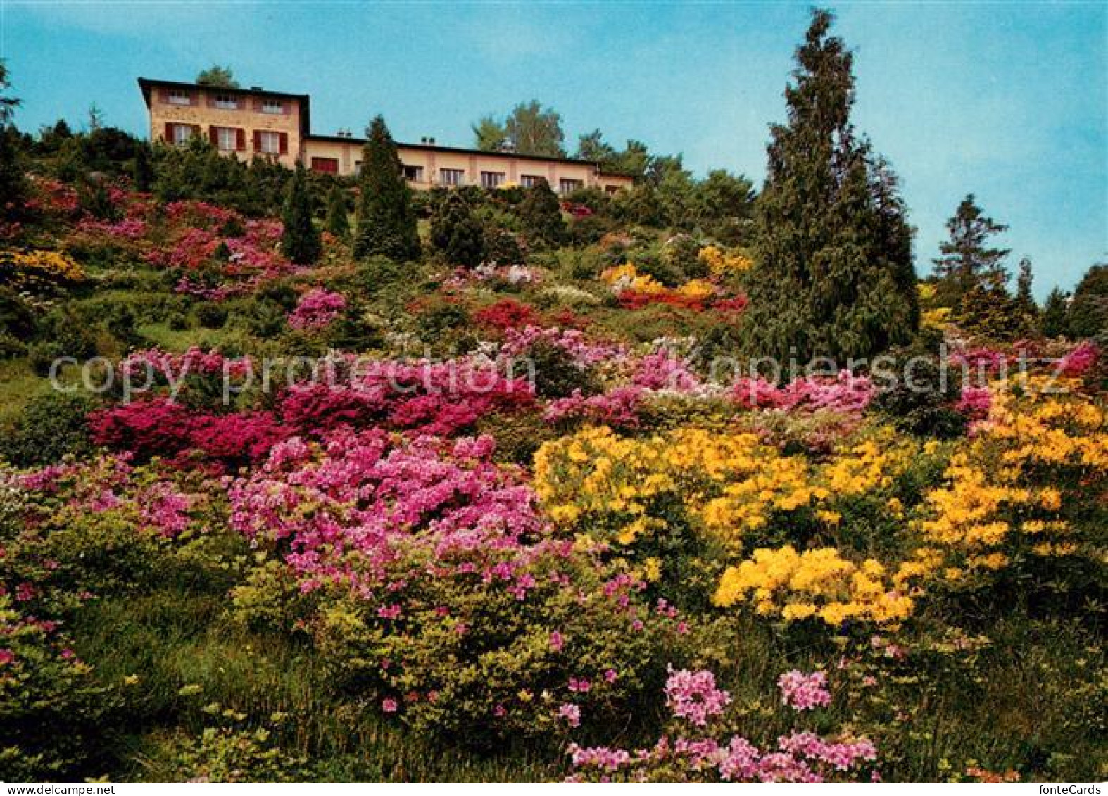 13246734 Carona San Grato Parco Botanico Botanischer Garten Carona - Autres & Non Classés