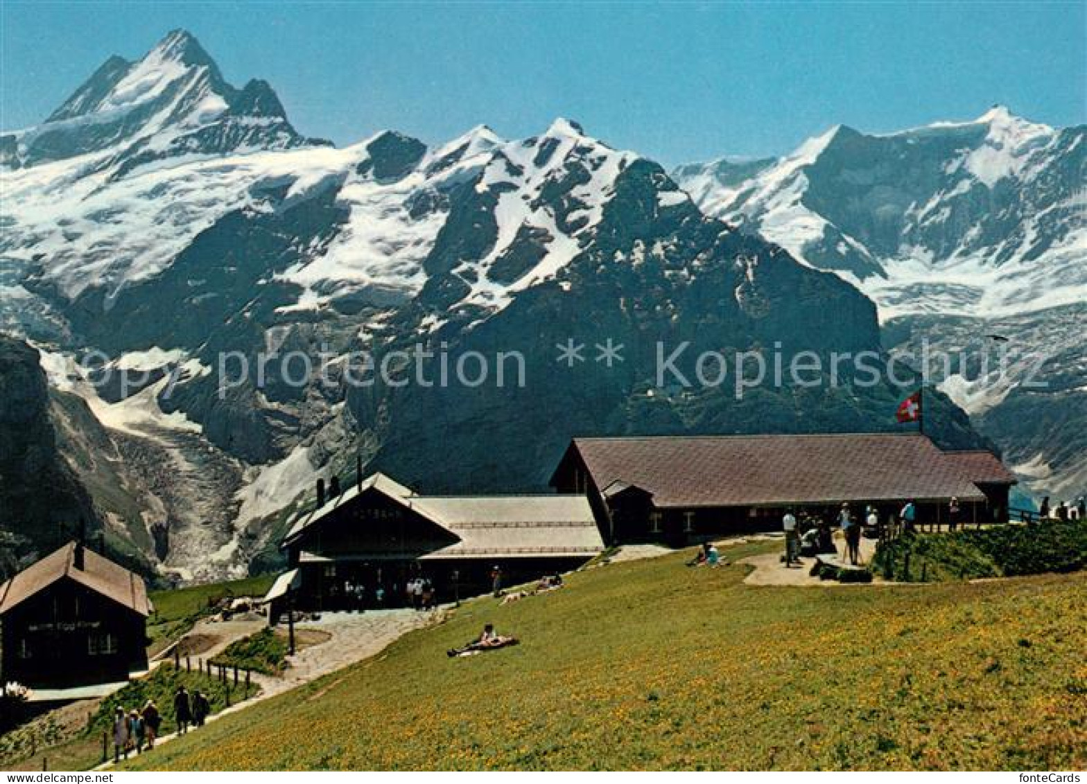 13241911 Grindelwald Bergstation Restaurant First Schreckhorn Fiescherhoerner Gr - Autres & Non Classés