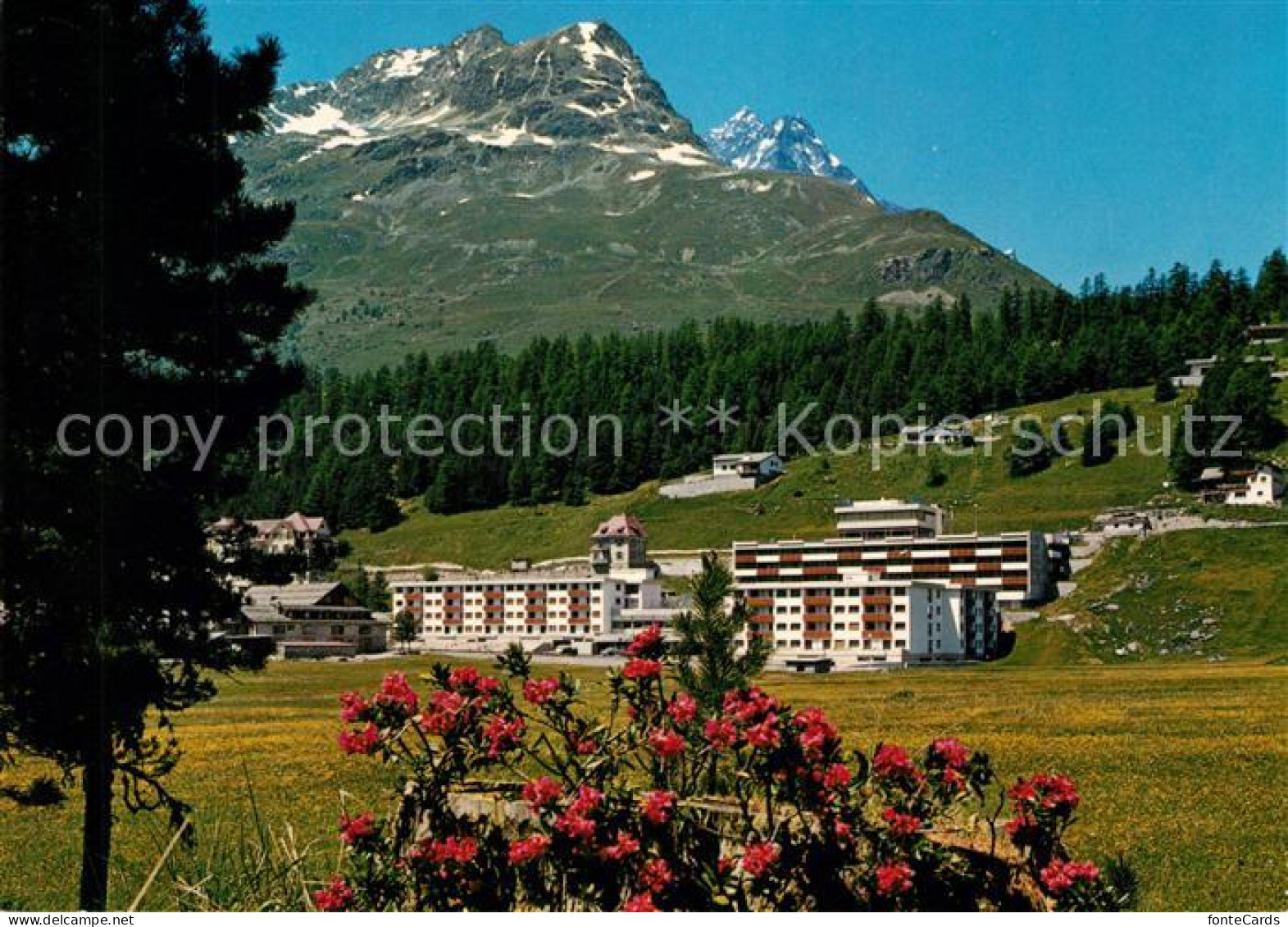 13241174 St Moritz GR Eurotel Berghotel Alpen St Moritz GR - Other & Unclassified