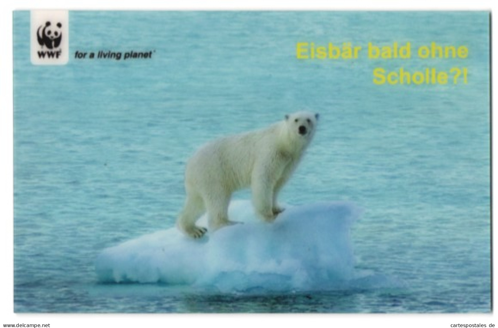 3D-AK Eisbär Bald Ohne Scholle?!, WWF  - Fotografie