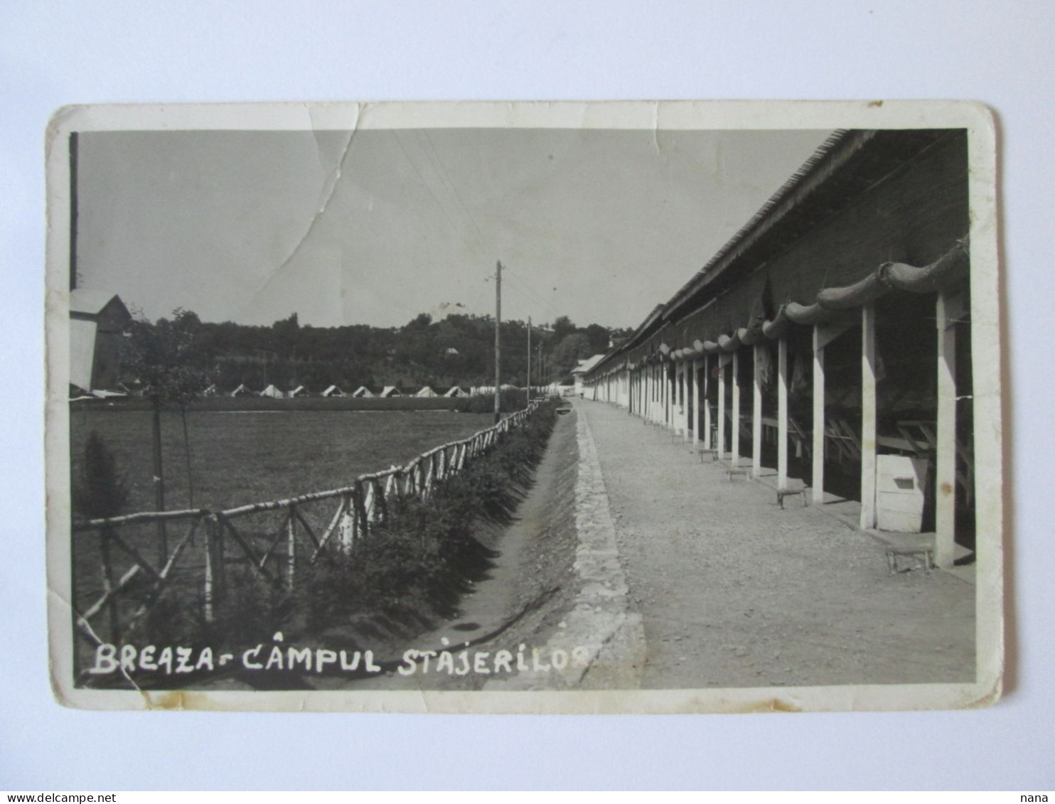 Romania-Breaza:Le Camp Des Scout/gardien C.p.photo Vers 1930/Scout/guardian Camp Unused Photo Postcard About 1930 - Romania