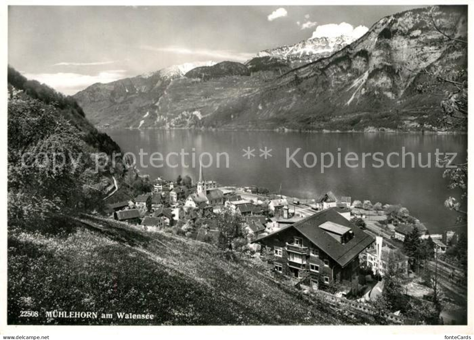 13238158 Muehlehorn Panorama Walensee Alpen Muehlehorn - Altri & Non Classificati