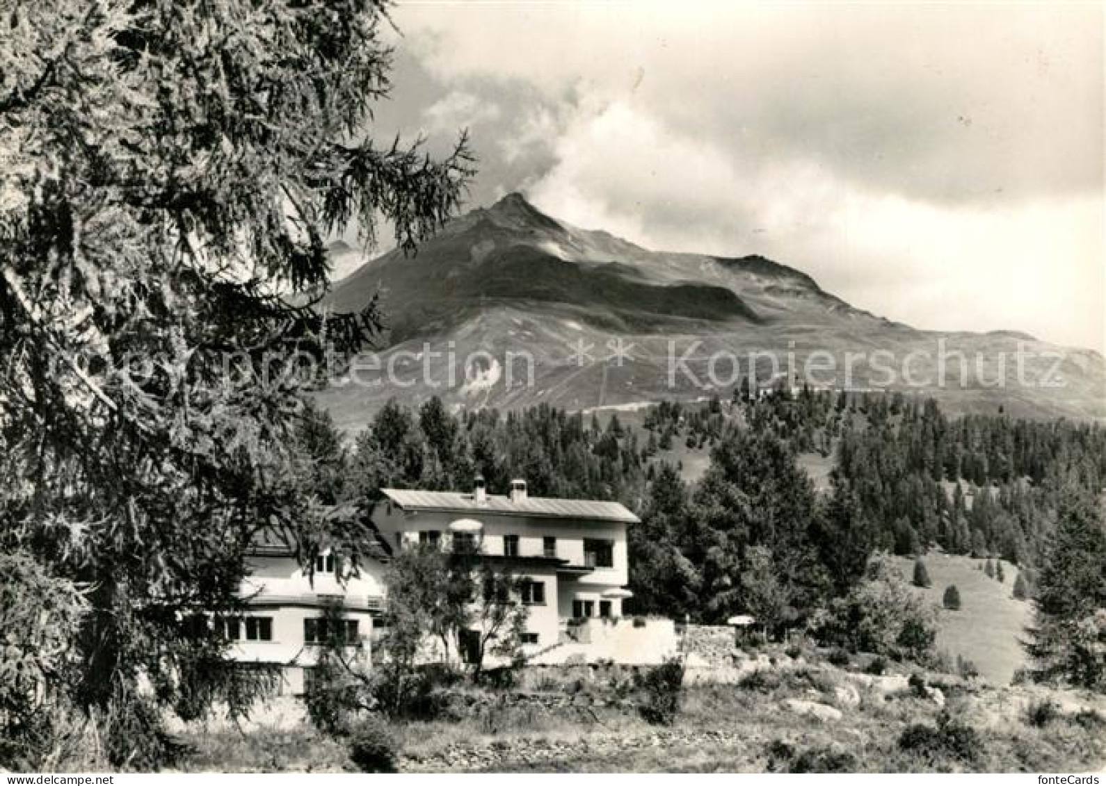 13238141 Fetan Gaestehaus Pension Haus Paradies Landschaftspanorama Engadin Feta - Other & Unclassified