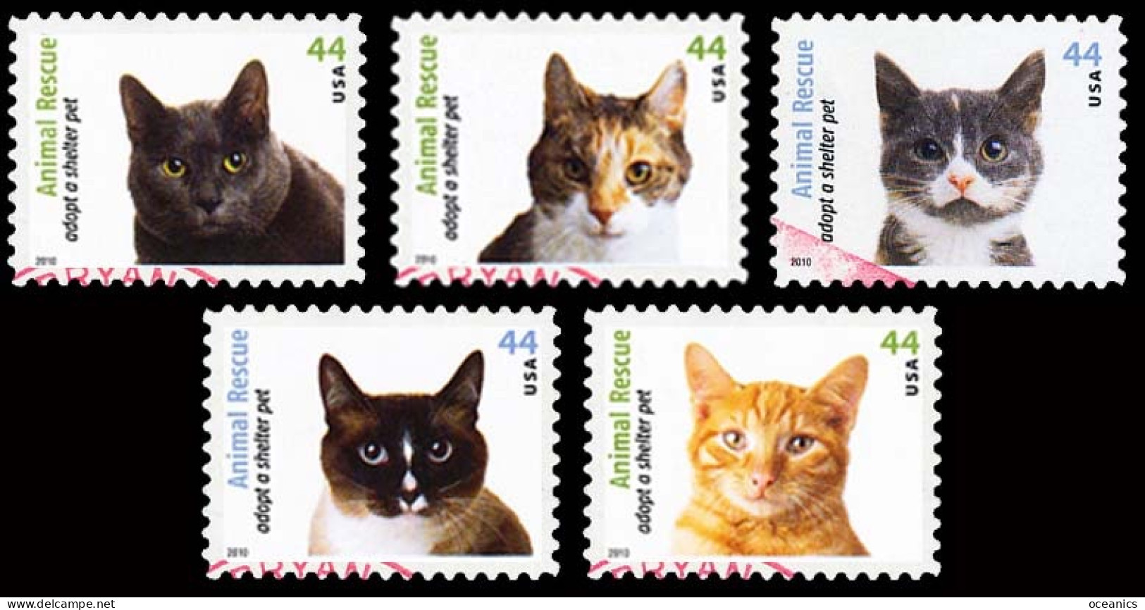 Etats-Unis / United States (Scott No.4451/59 - Protection Des Animaux / Chats - Cats / Animal Rescue) (o) Séton 5 - Gebruikt