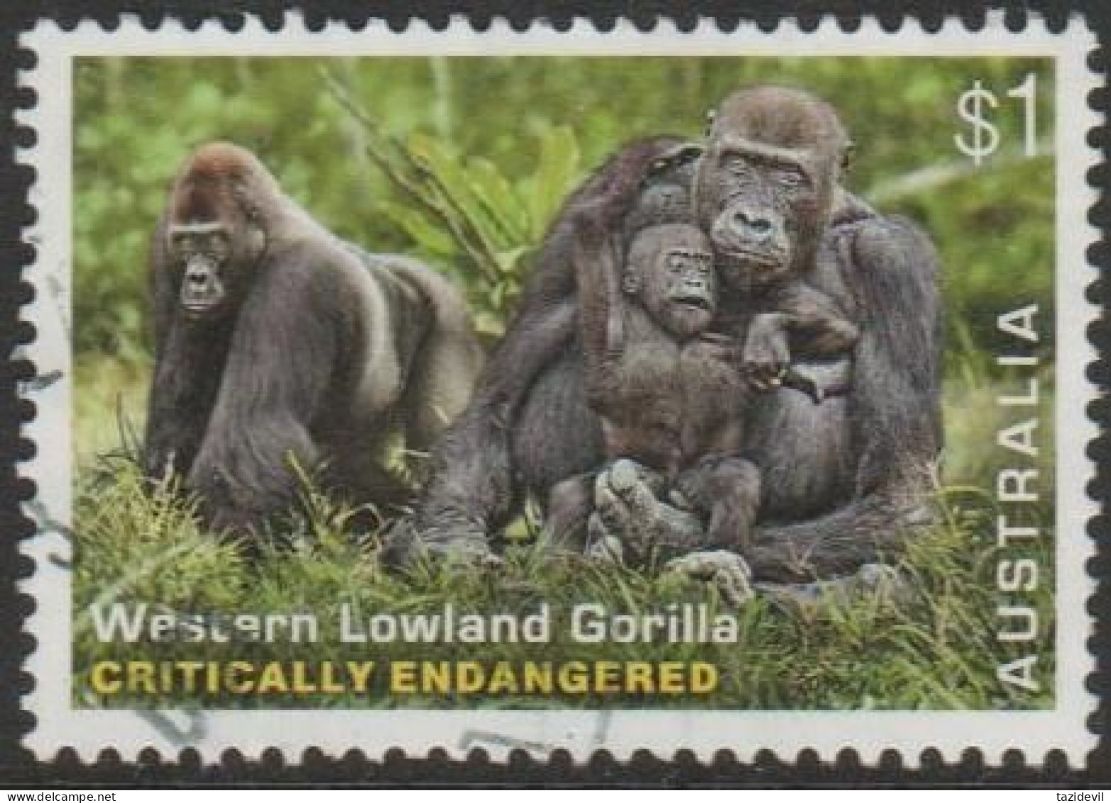 AUSTRALIA - USED 2016 $1.00 Stamp Collecting Month: Critically Endangered Animals - Western Lowland Gorilla - Gebruikt