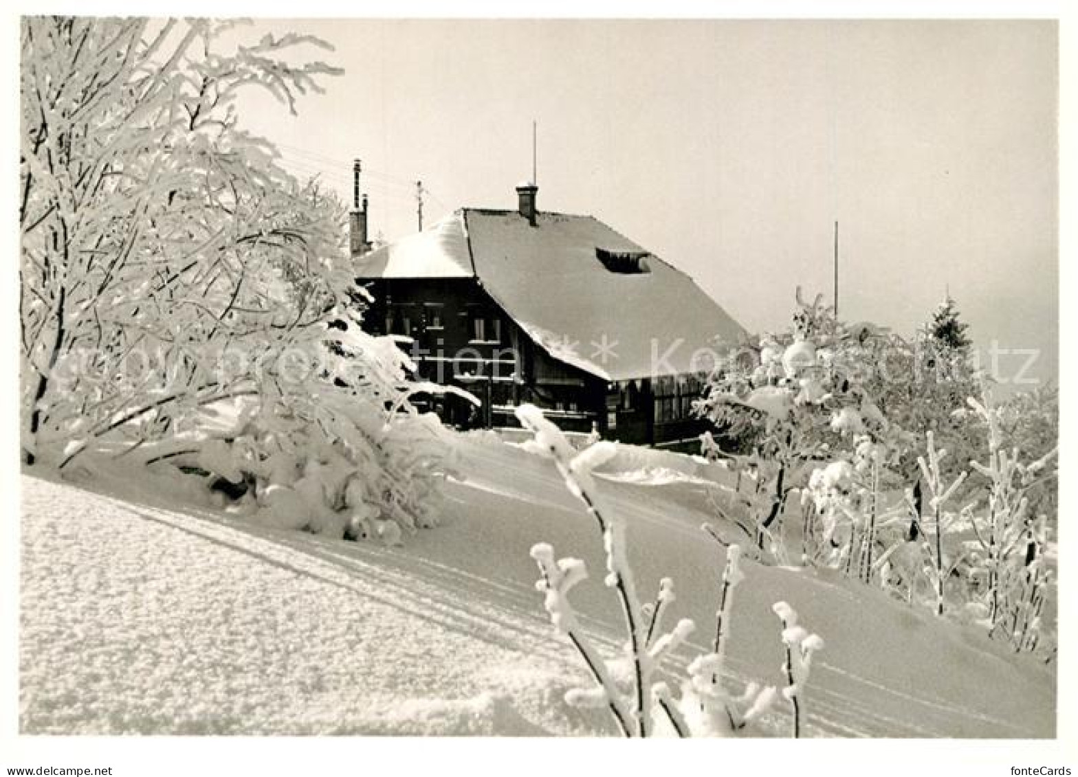 13235878 Les Pleiades Restaurant En Hiver Winterlandschaft Les Pleiades - Otros & Sin Clasificación