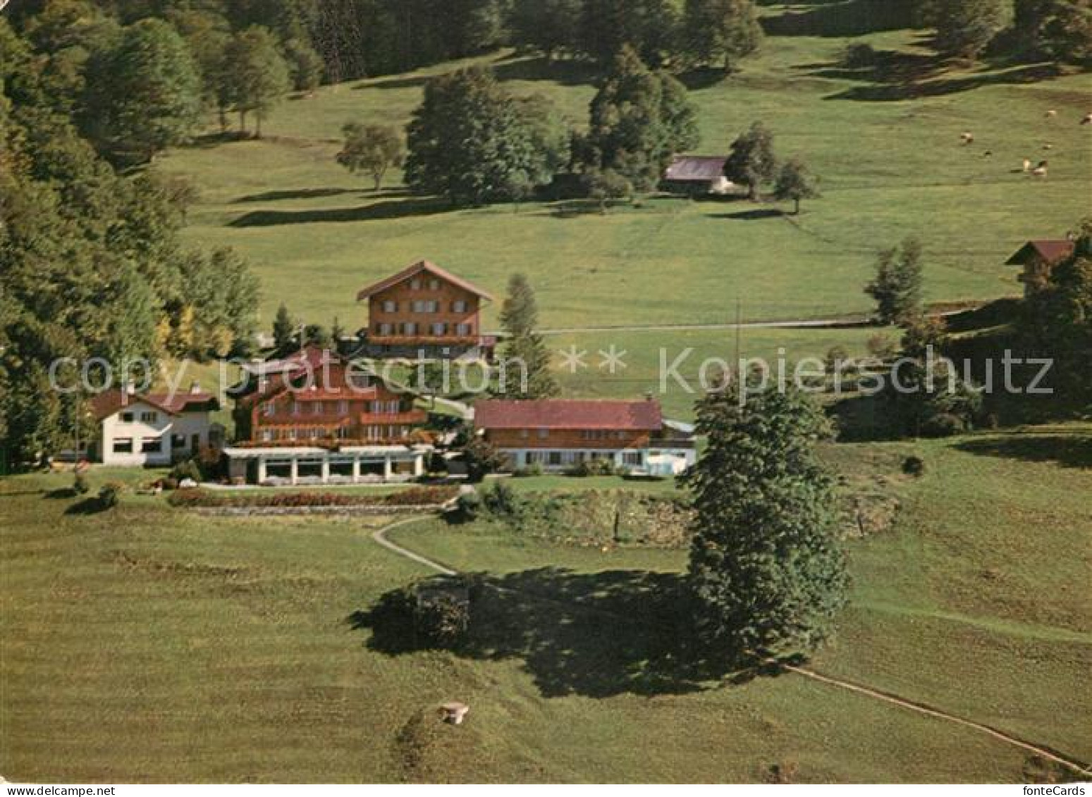 13235268 Leissigen Ferienheim Der Pilgermission St Chrischona Meielisalp Flieger - Otros & Sin Clasificación