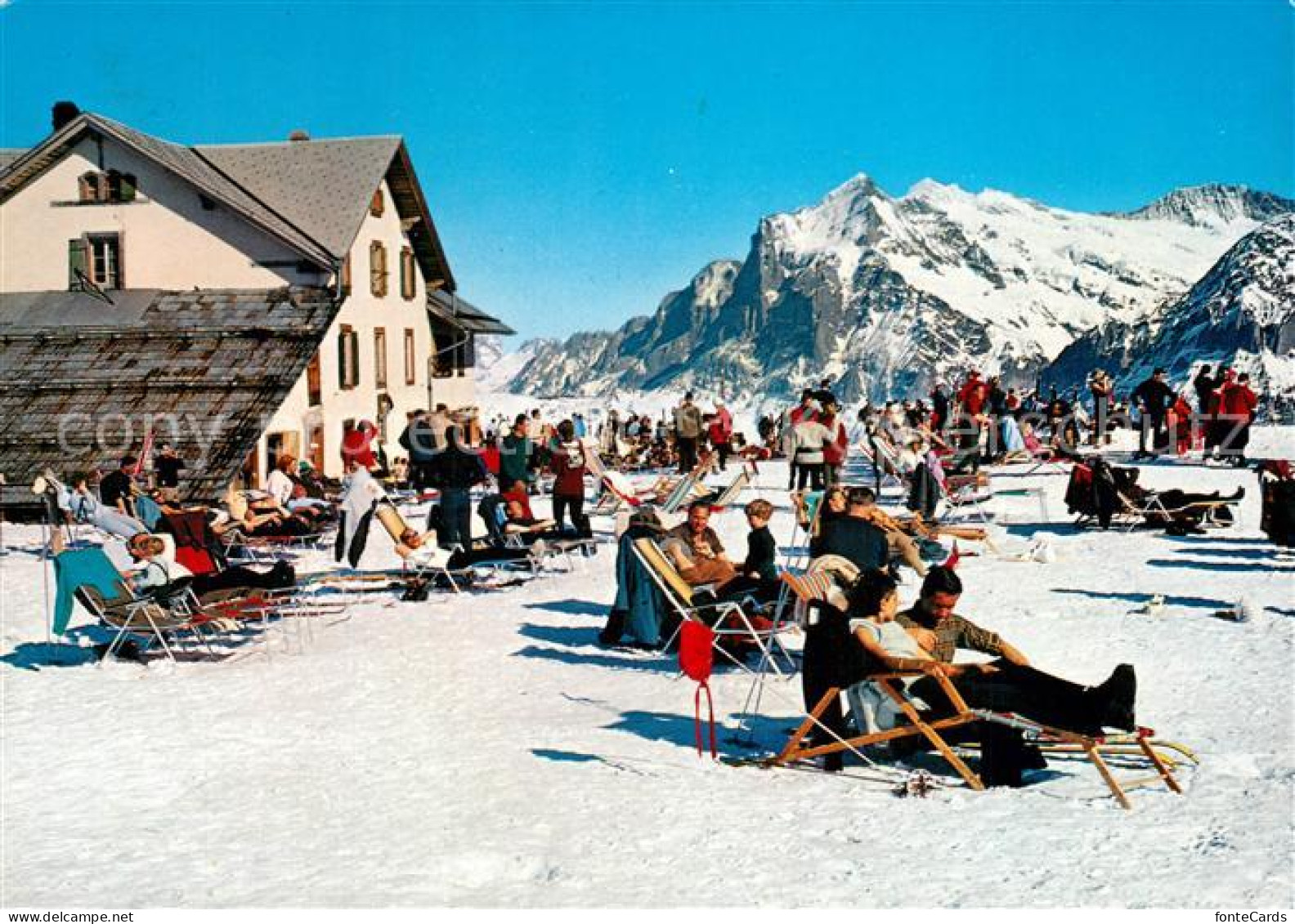 13234740 Grindelwald Maennlichen Berghotel Sonnenterrasse Wetterhorn Berner Alpe - Otros & Sin Clasificación