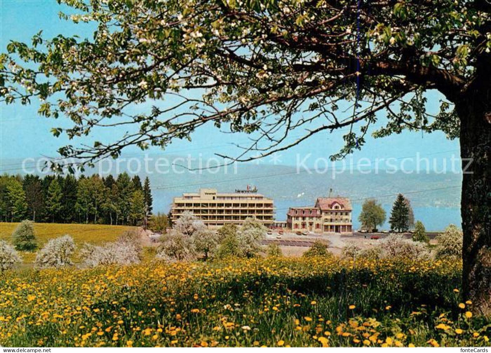 13234404 Feusisberg Tourotel Feusisberg - Sonstige & Ohne Zuordnung