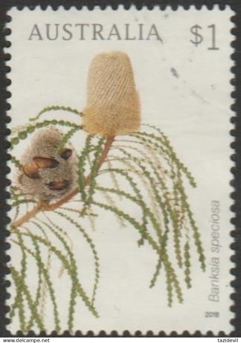 AUSTRALIA - USED 2018 $1.00 Banksias - Banksia Speciosa - Oblitérés