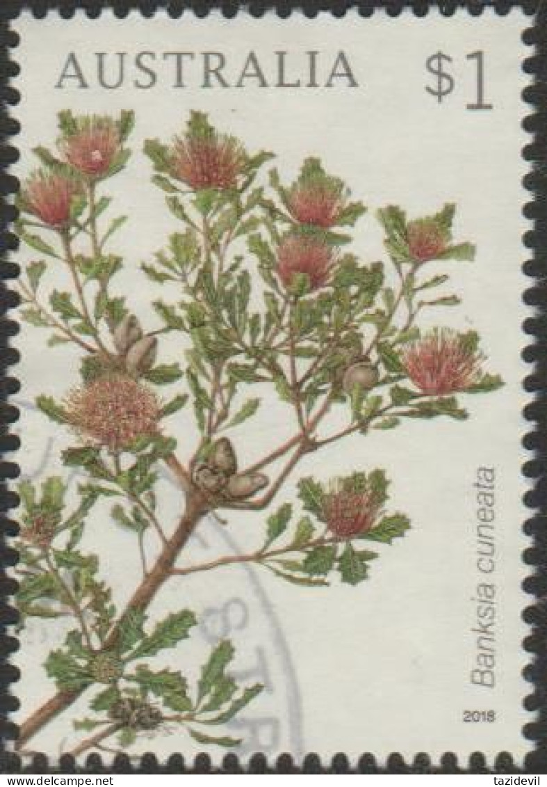 AUSTRALIA - USED 2018 $1.00 Banksias - Banksia Coccinea - Used Stamps