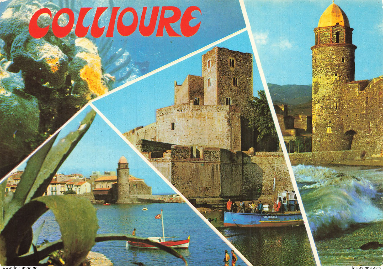 66 COLLIOURE  - Collioure