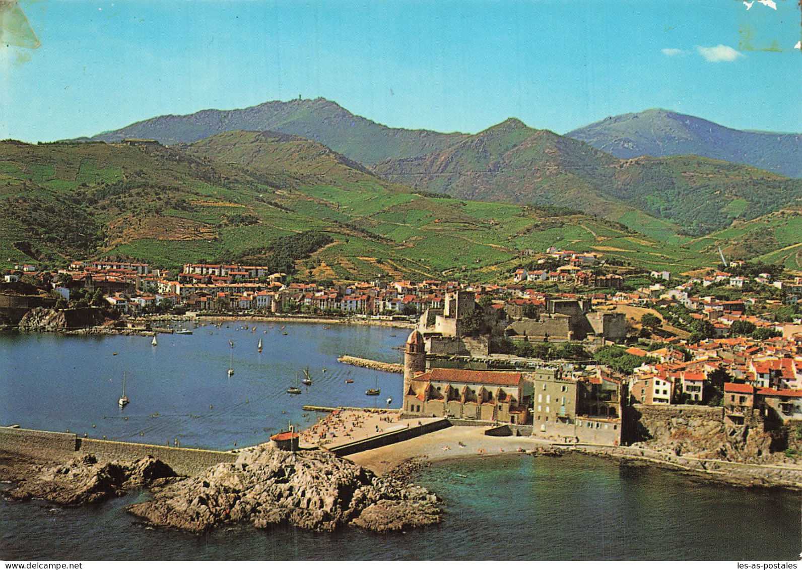 66 COLLIOURE L EGLISE - Collioure