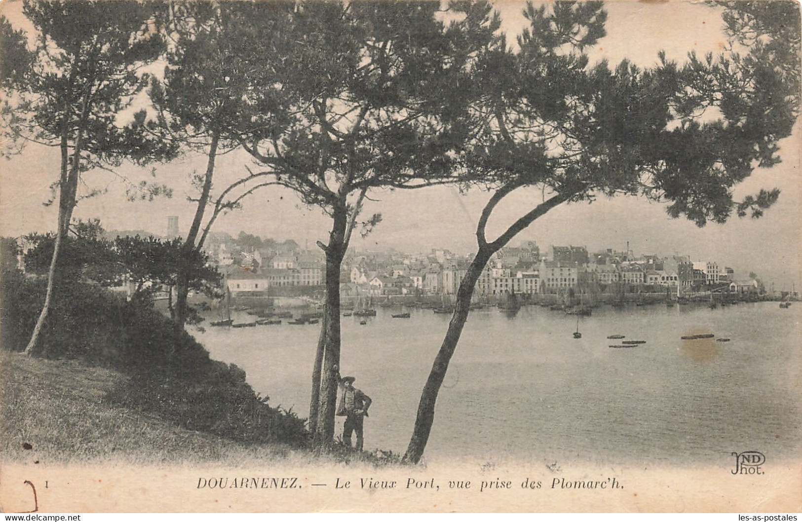 29  DOUARNENEZ LE VIEUX PORT  - Douarnenez