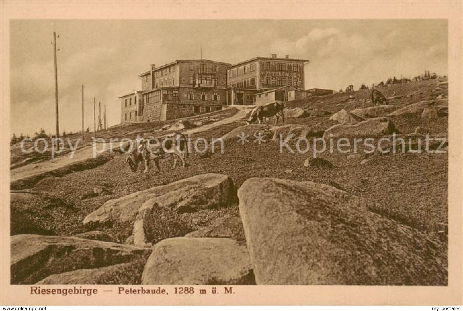 73818795 Riesengebirge_Krkonose_Karkonosze Peterbaude - Czech Republic