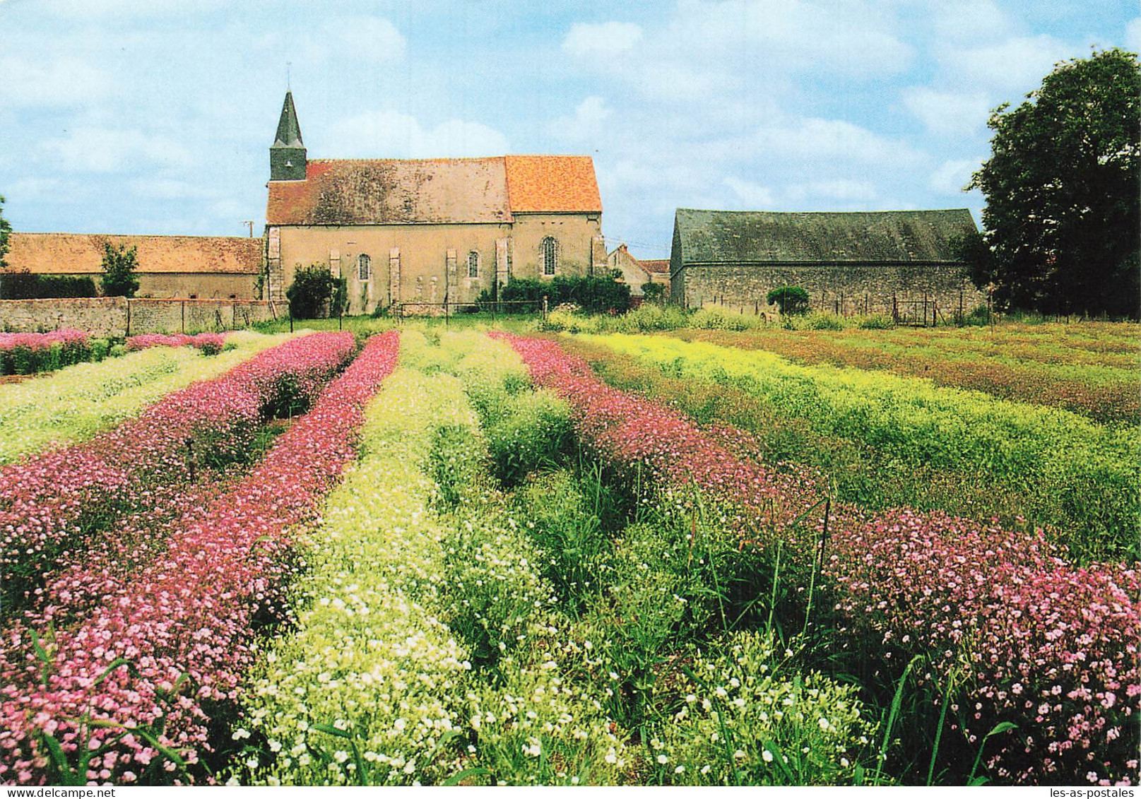 28 VIERVILLE CHAMP DE SAPONAIRES ET L EGLISE - Altri & Non Classificati