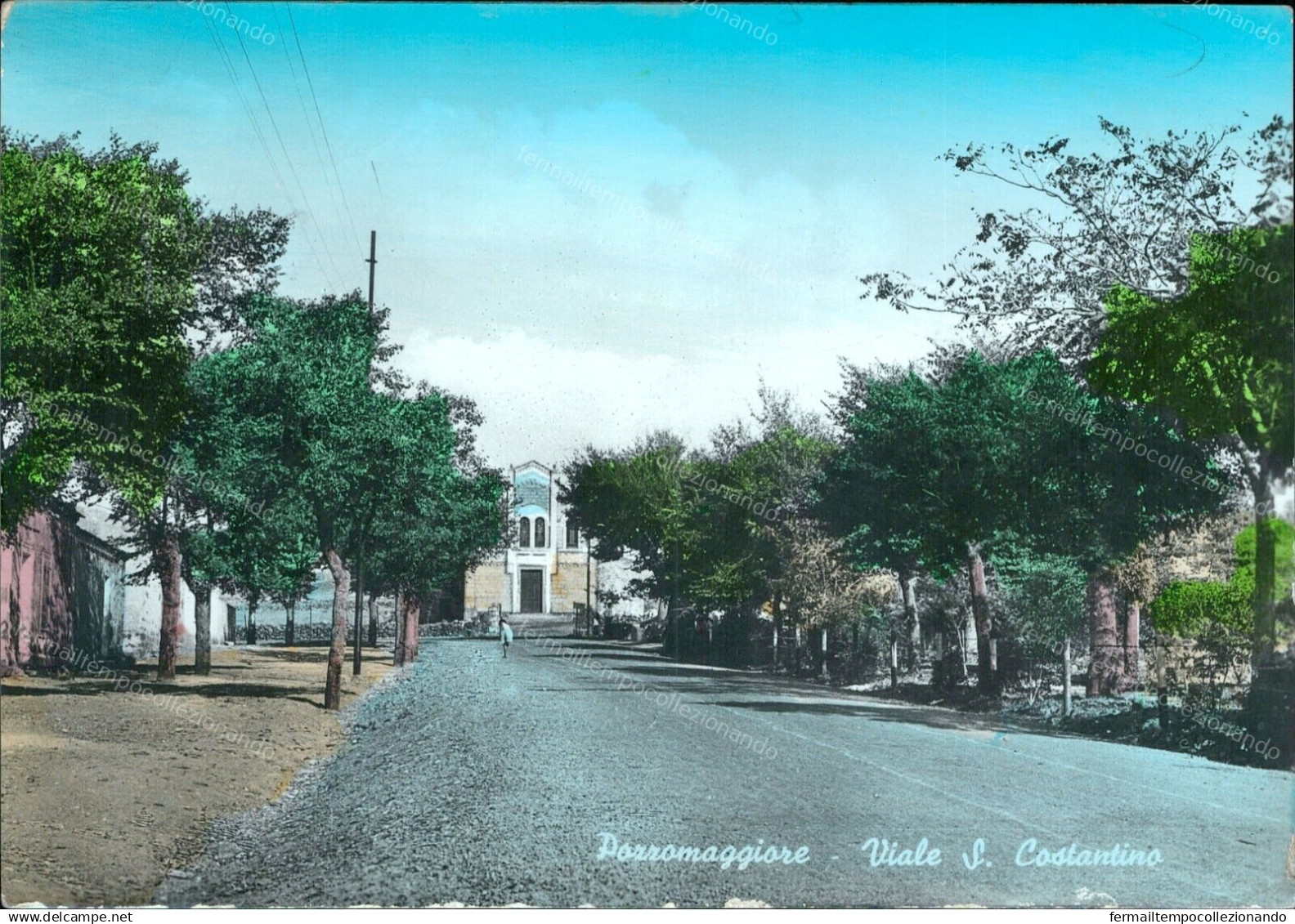 G733 Cartolina Pozzomaggiore Viale S.costantino Provincia Di Sassari Sardegna - Sassari