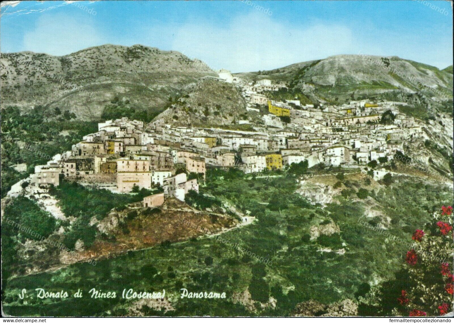G747 Cartolina San Donato Di Minea Panorama Provincia Di Cosenza Calabria - Cosenza