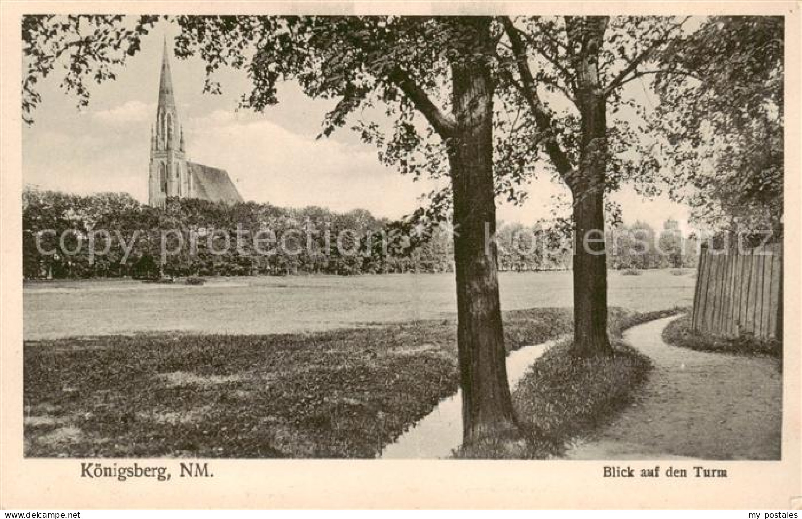 73818562 Koenigsberg  Ostpreussen Kaliningrad RU Kirche Panorama  - Russia