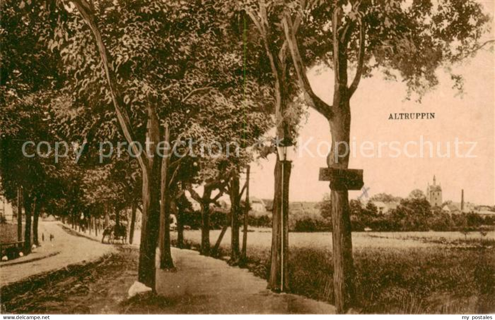 73818542 Altruppin Landstrasse Allee Blick Zum Ort Altruppin - Neuruppin