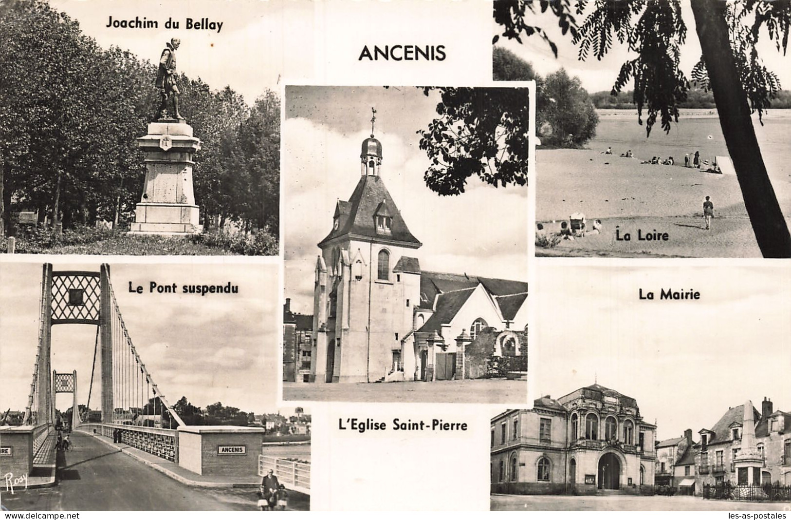 44 ANCENIS  - Ancenis