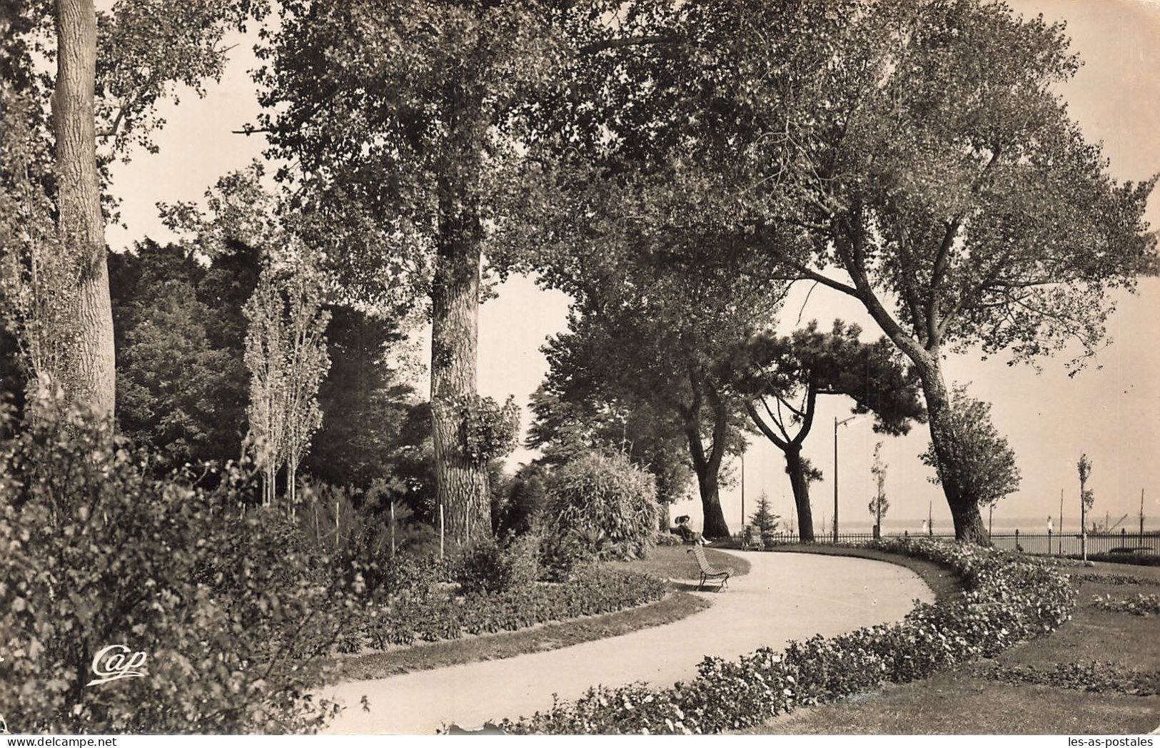 44 SAINT NAZAIRE LE JARDIN DES PLANTES - Saint Nazaire