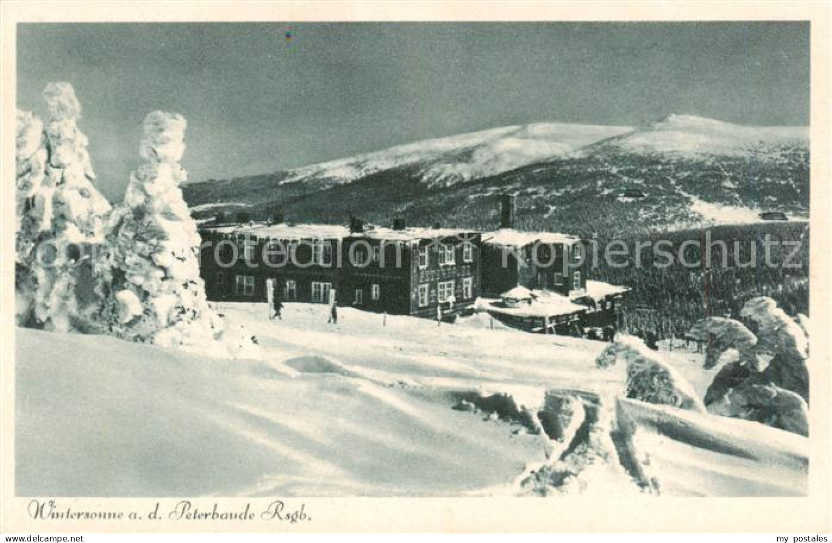 73818458 Riesengebirge_Krkonose_Karkonosze Peterbaude Winterpanorama - Tchéquie