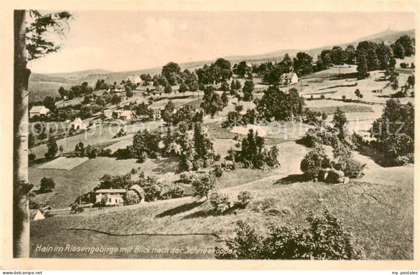 73818441 Hain  Giersdorf Riesengebirge Podgorzy PL Panorama Mit Schneekoppe  - Pologne