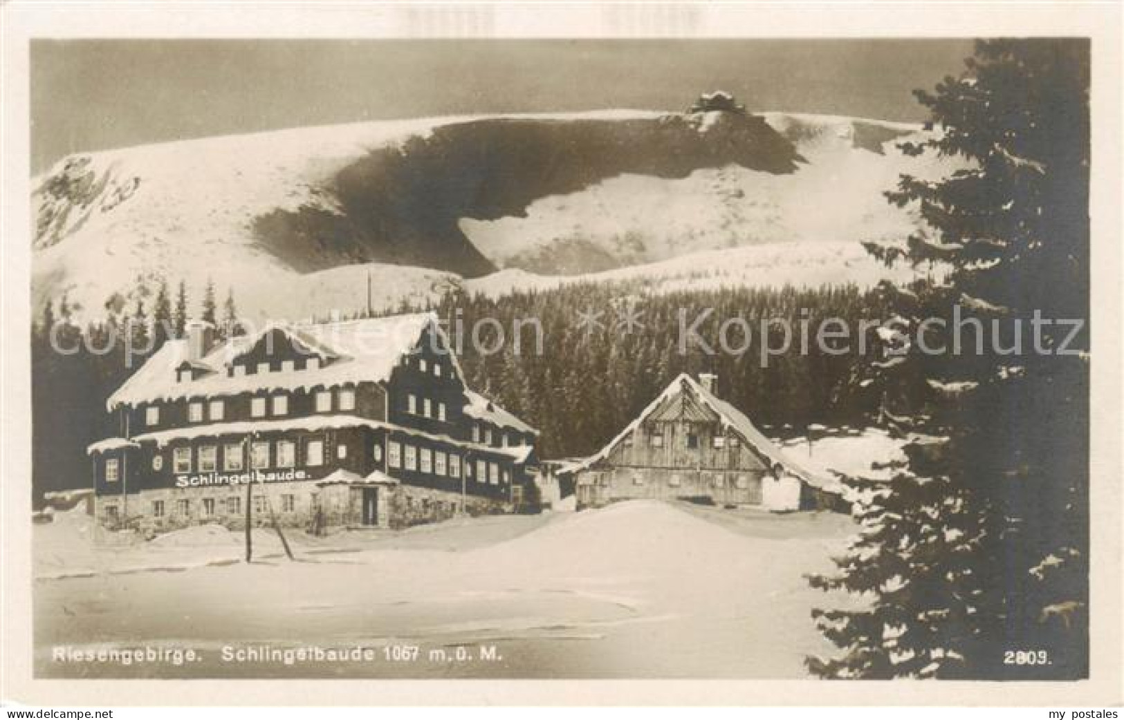 73818407 Riesengebirge_Krkonose_Karkonosze Schlingelbaude - Tschechische Republik