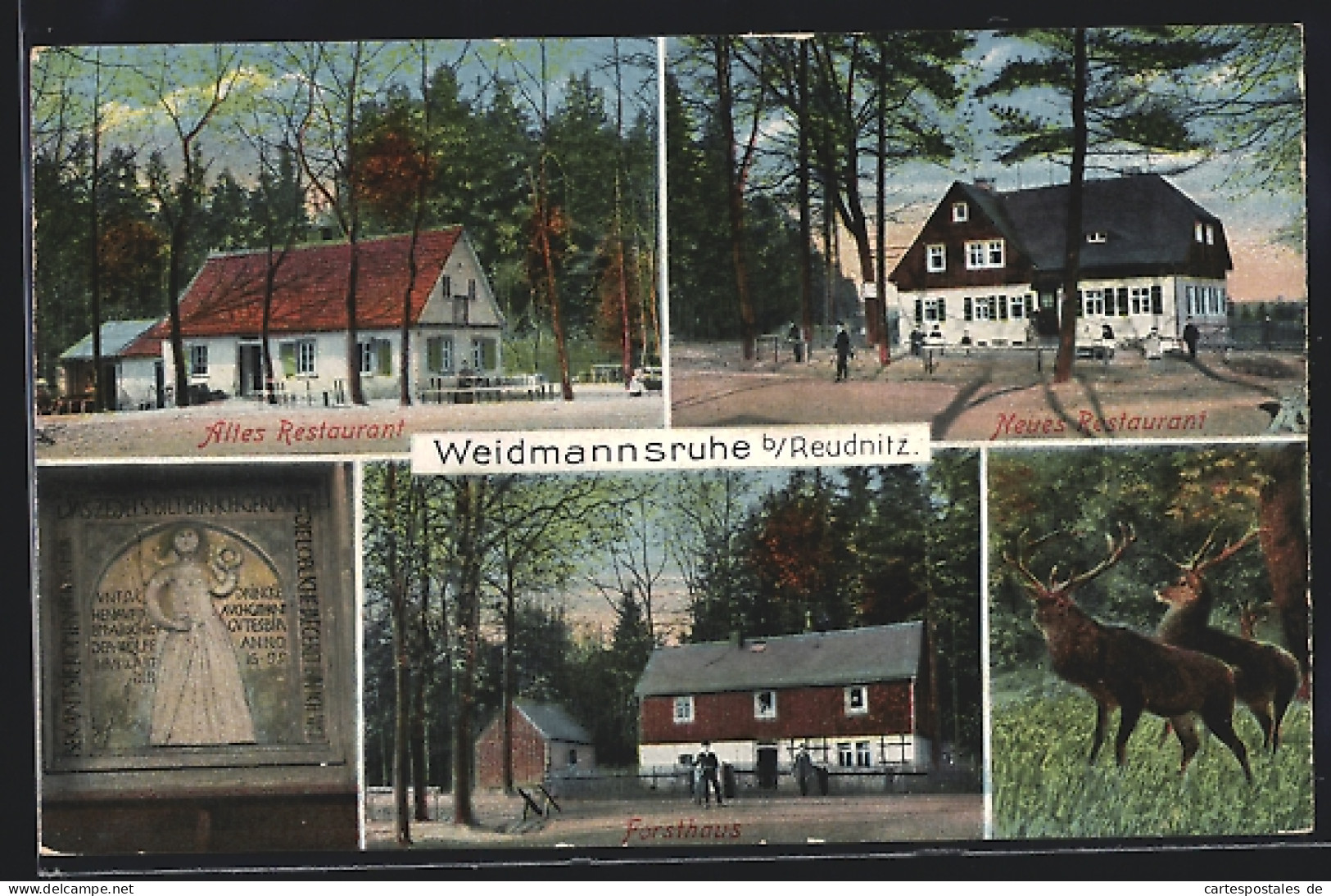 AK Reudnitz, Altes Und Neues Restaurant Weidmannsruhe, Forsthaus, Gedenkstein Und Hirsche Im Wald  - Hunting