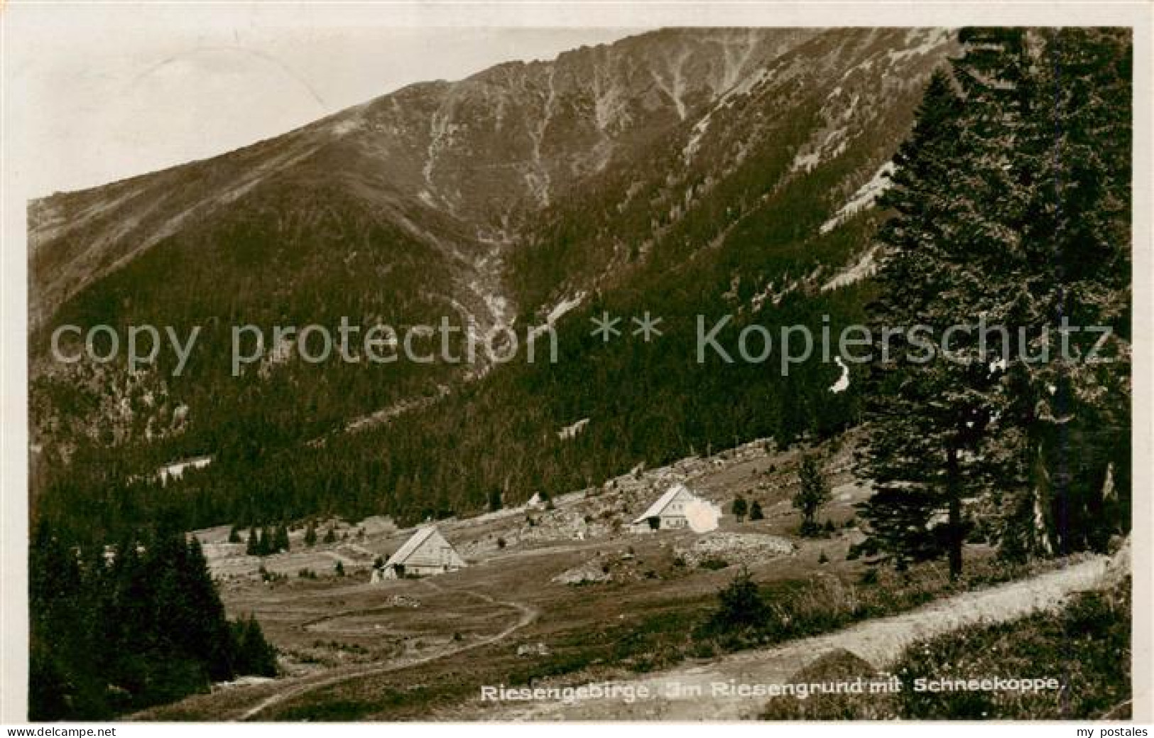 73818399 Riesengebirge_Krkonose_Karkonosze Im Riesengrund Mit Schneekoppe - Czech Republic