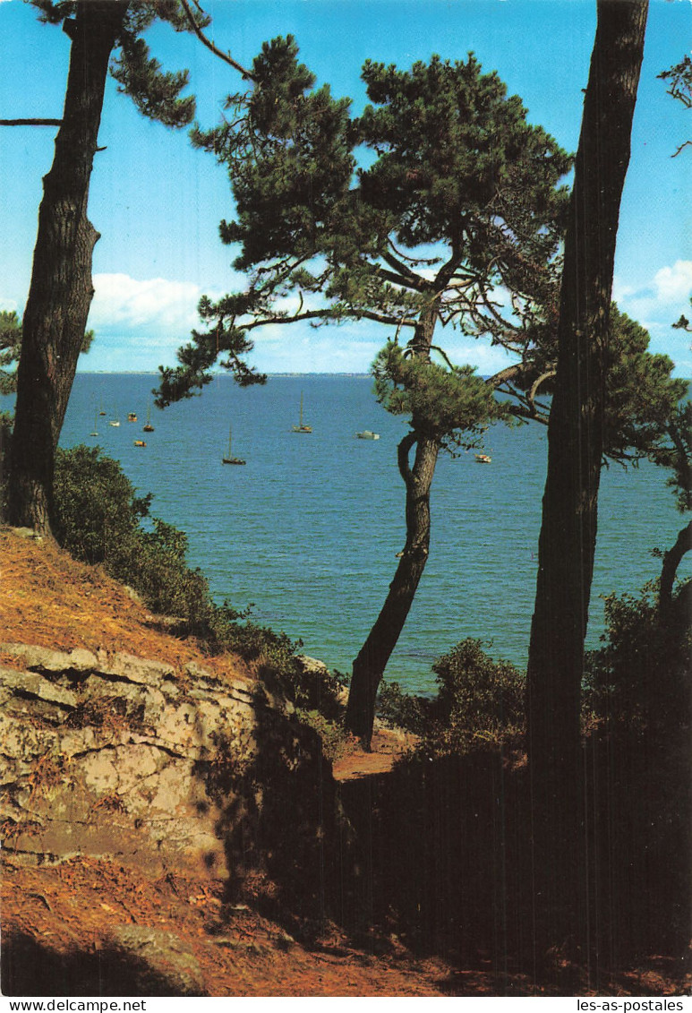 85 L ILE DE NOIRMOUTIER LE BOIS DE LA CHAIZE   - Ile De Noirmoutier