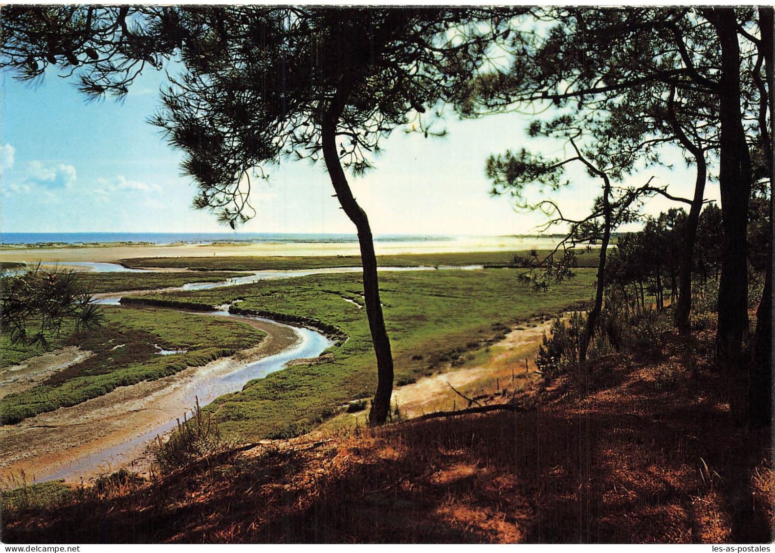 85 LA BAIE DE LA BELLE HENRIETTE - Altri & Non Classificati