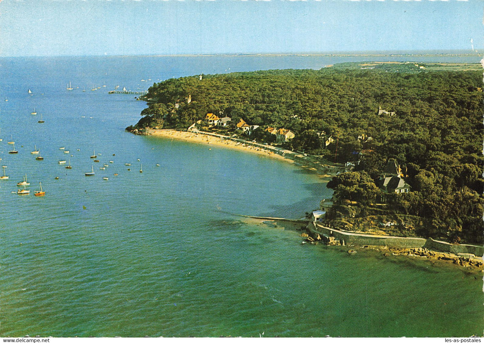 85 L ILE DE NOIRMOUTIER LES SOUZEAUX ET LE BOIS DE LA CHAIZE - Ile De Noirmoutier