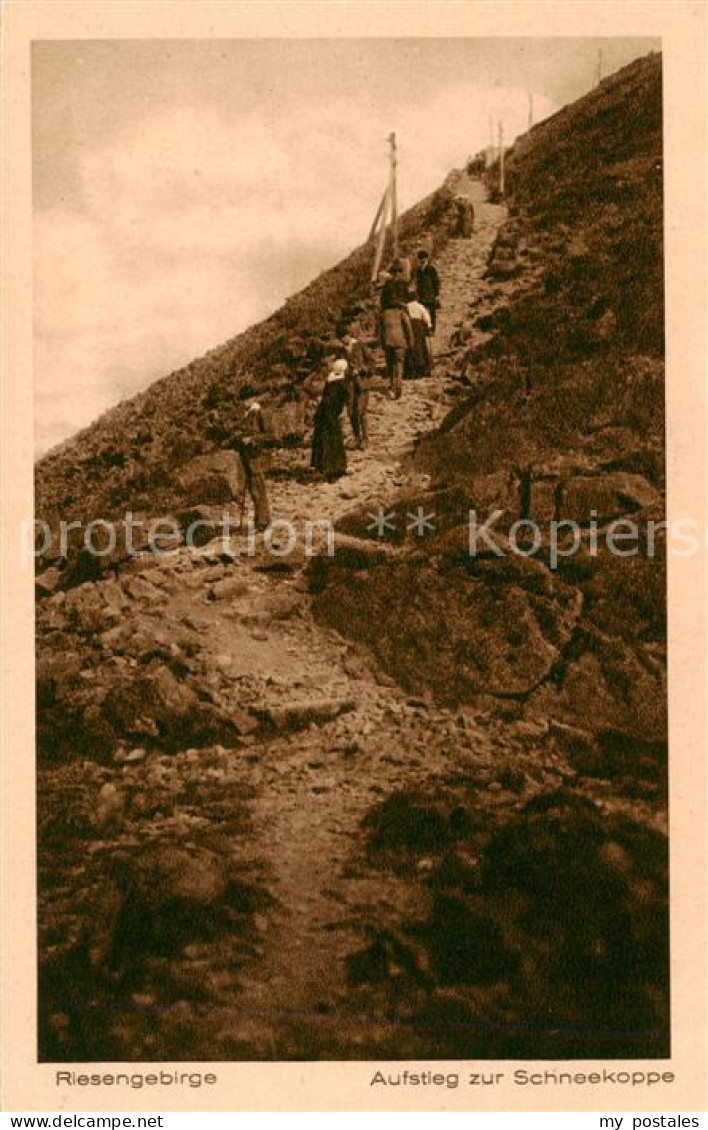 73818318 Riesengebirge_Krkonose_Karkonosze Aufstieg Zur Schneekoppe - Czech Republic