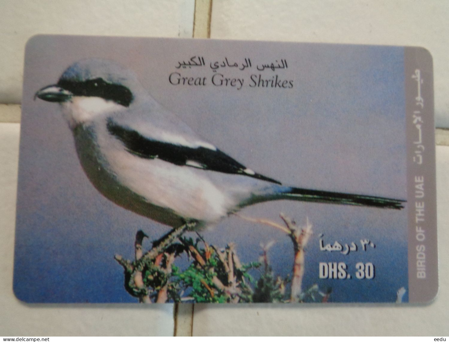 UAE Phonecard - Verenigde Arabische Emiraten