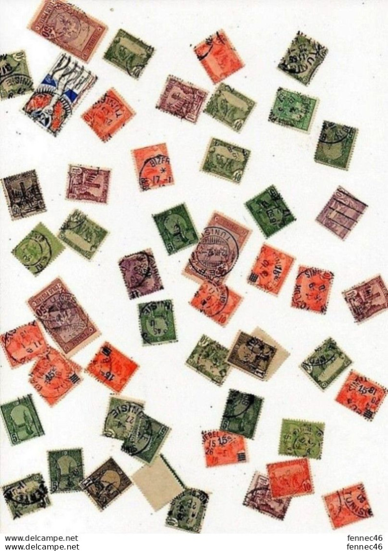 * Lot De 50 Timbres De TUNISIE - Otros - África