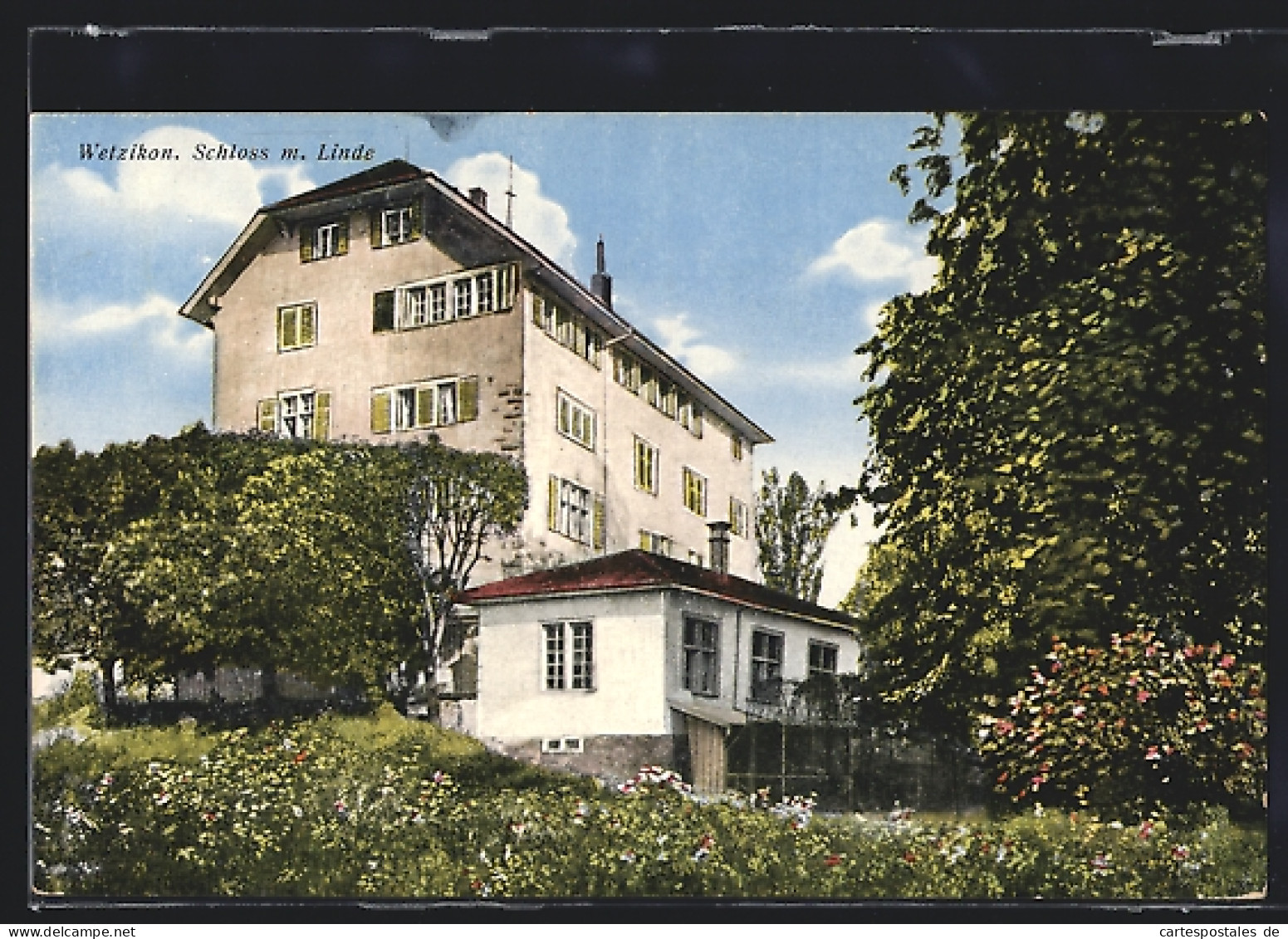 AK Wetzikon, Schloss Mit Linde  - Other & Unclassified