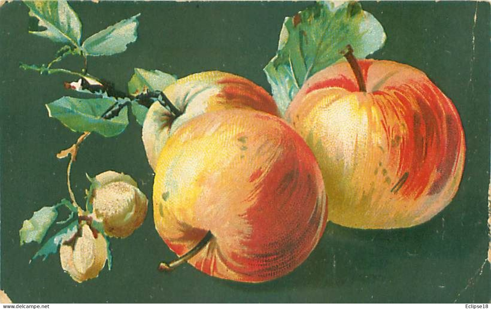 Illustrateur Italien - Nature Morte - Fruits    Q 2556 - Peintures & Tableaux