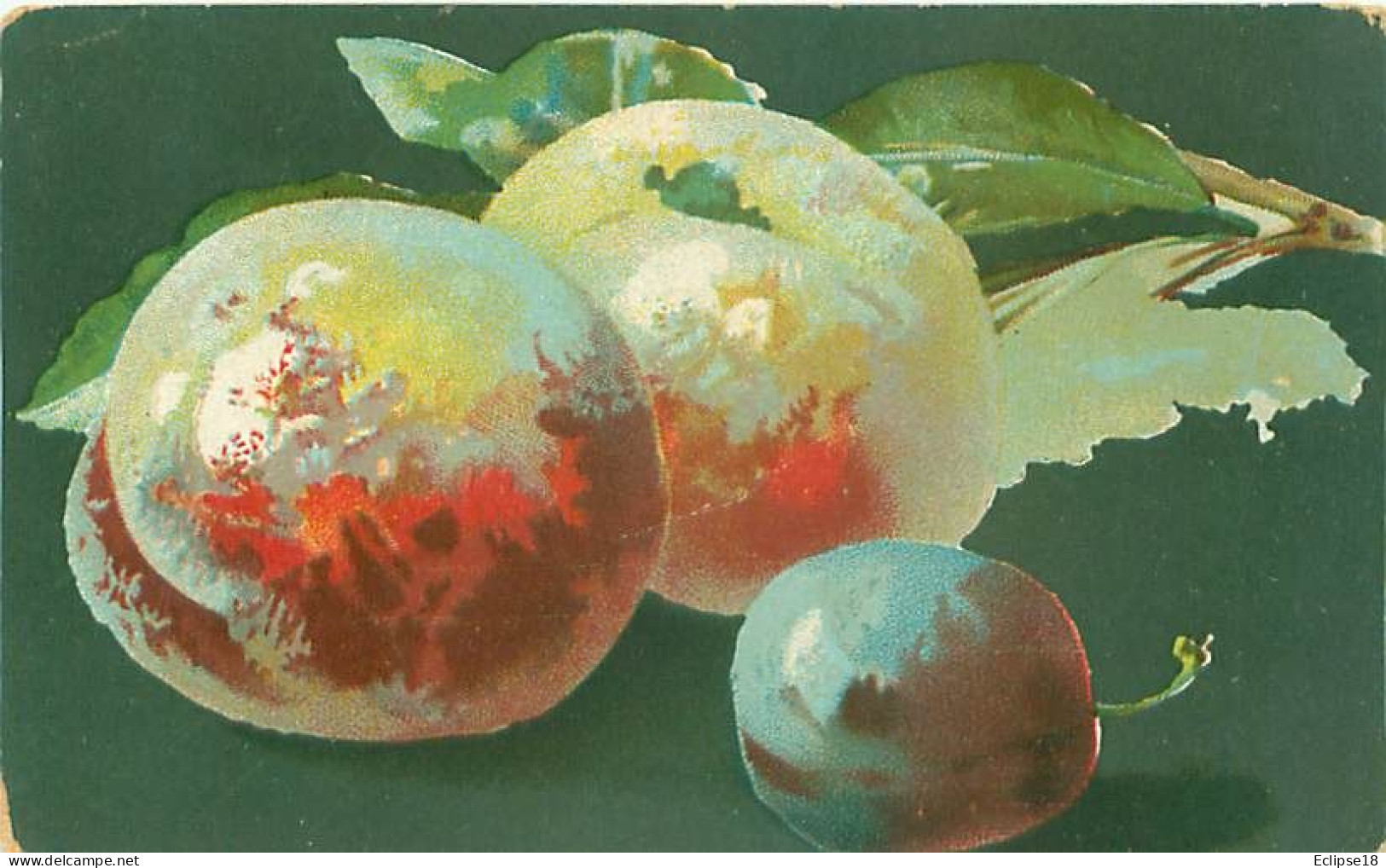 Illustrateur Italien - Nature Morte - Fruits    Q 2556 - Malerei & Gemälde