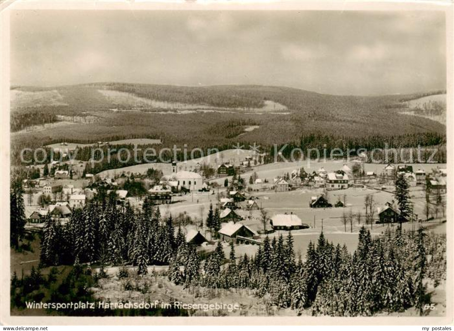 73817678 Harrachsdorf Harrachov CZ Panorama  - Czech Republic