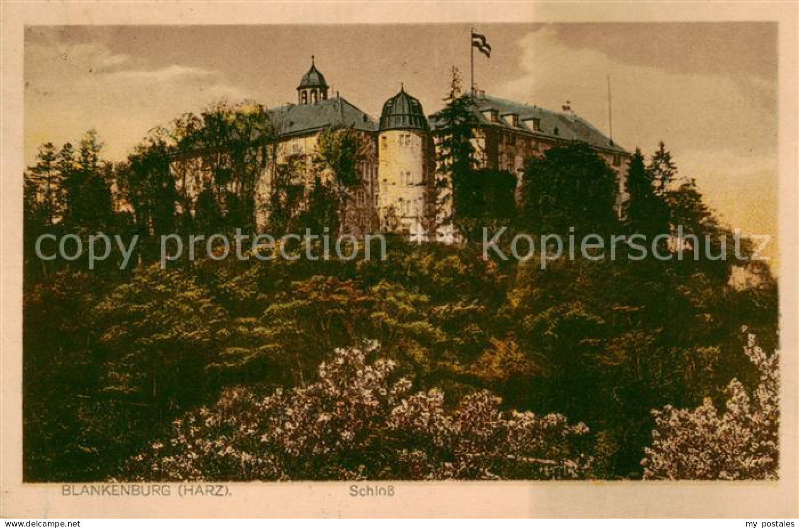 73817612 Blankenburg Harz Schloss Blankenburg Harz - Blankenburg