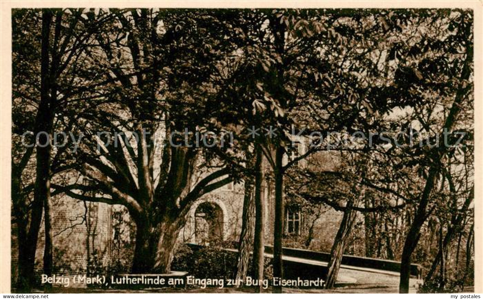 73817592 Belzig Bad Lutherlinde Am Eingang Zur Burg Eisenhardt Belzig Bad - Belzig