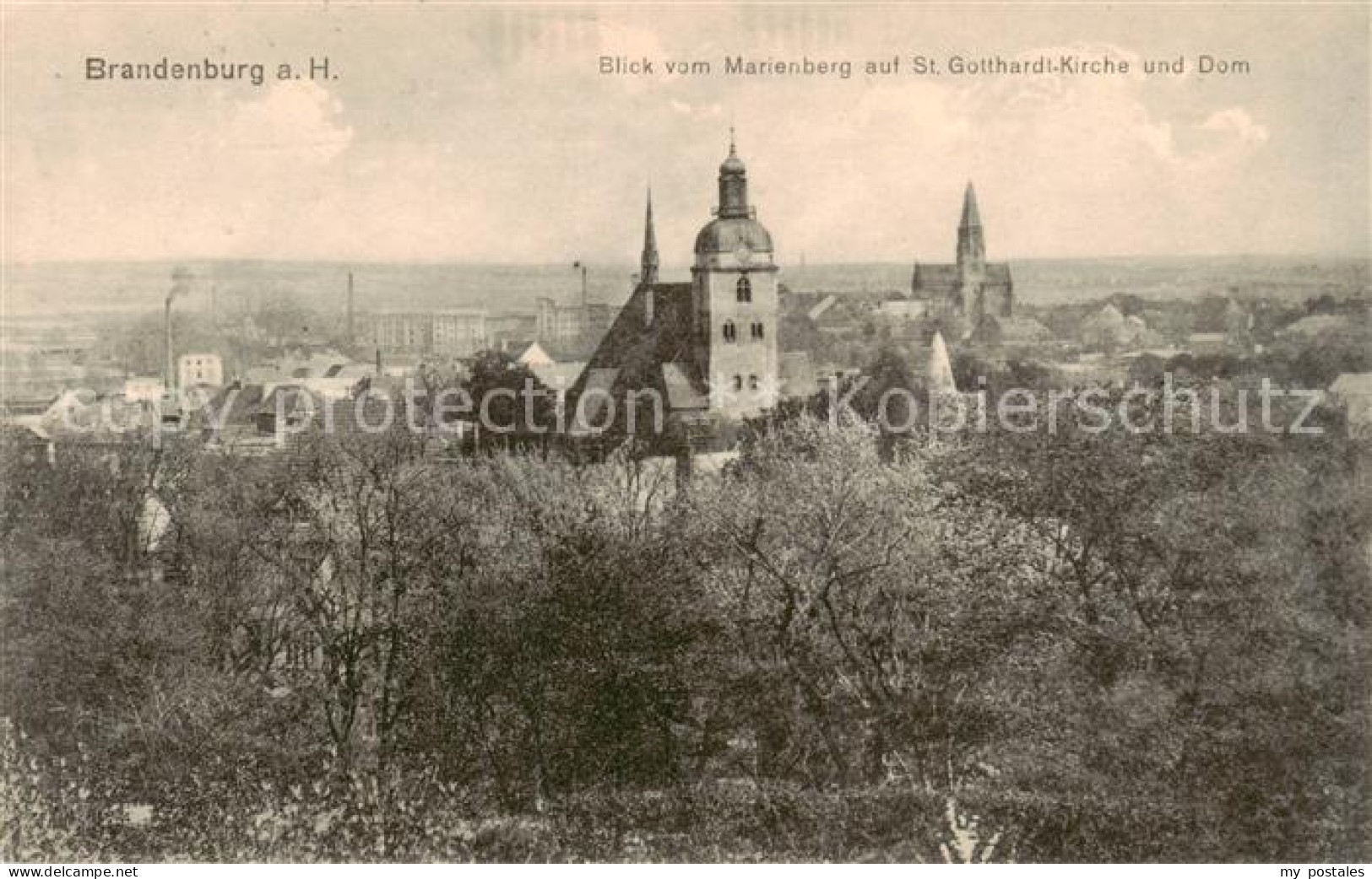 73817581 Brandenburg  Havel Blick Vom Marienberg Auf St Gotthard Kirche Und Dom  - Brandenburg
