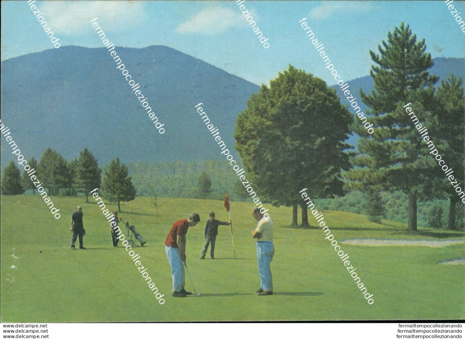 T770 Cartolina Fiuggi Fonte Campi Di Golf Provincia Di Frosinone - Frosinone